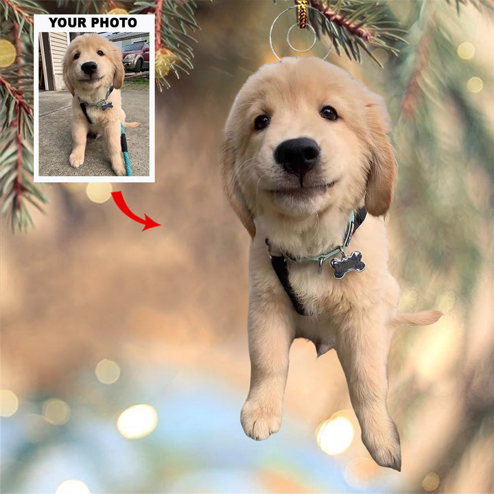 Jingle Paws - Personalized Photo Mica Ornament - Gift For Pet Lovers, Pet Owners, Family Members