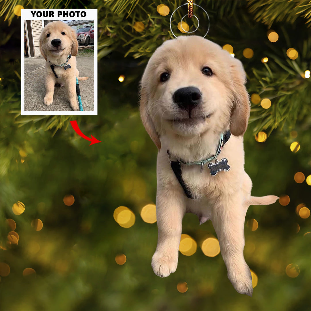 Jingle Paws - Personalized Photo Mica Ornament - Gift For Pet Lovers, Pet Owners, Family Members