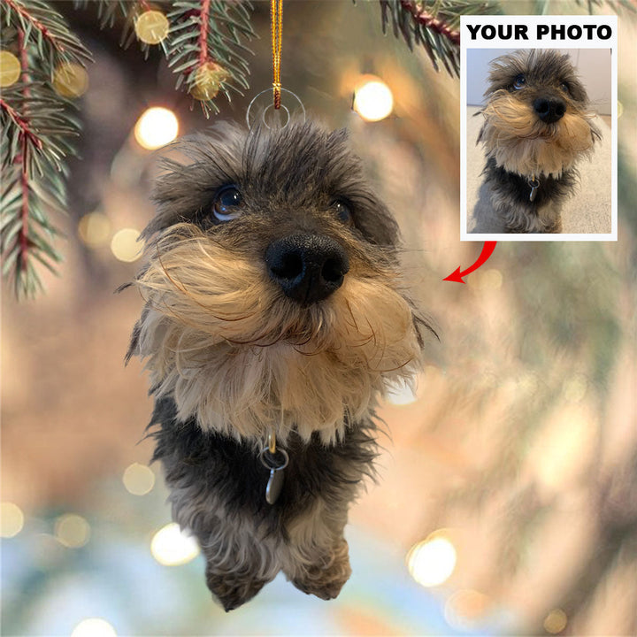 Jingle Paws - Personalized Photo Mica Ornament - Christmas Gift For Pet Lovers