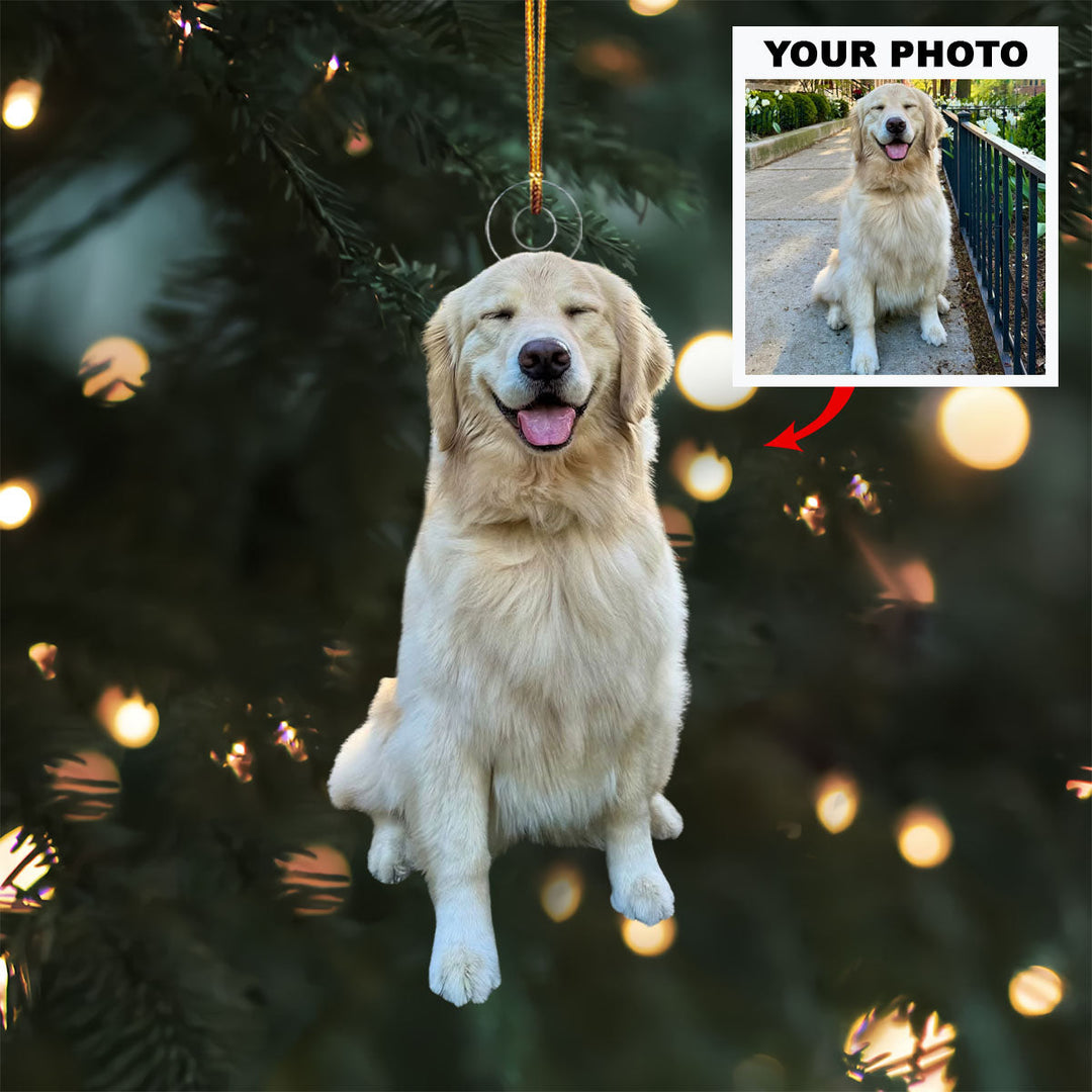 Jingle Paws - Personalized Photo Mica Ornament - Christmas Gift For Pet Lovers