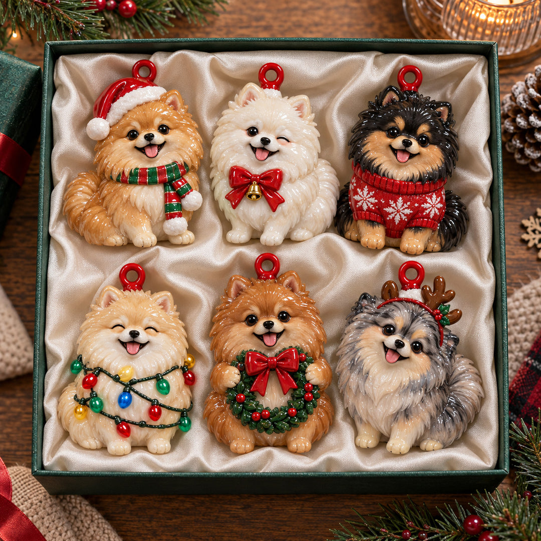 Jolly Pompom Squad Acrylic Ornament Gift Set NCU0HT280