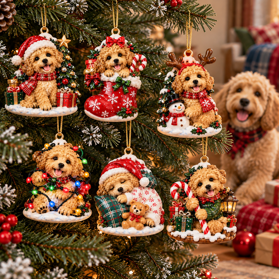 Labradoodle Christmas Acrylic Ornament Gift Set NCU0TH113