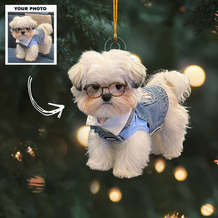 Paw Star - Personalized Photo Mica Ornament - Customized Your Photo Ornament - Christmas Gift For Pet Lovers