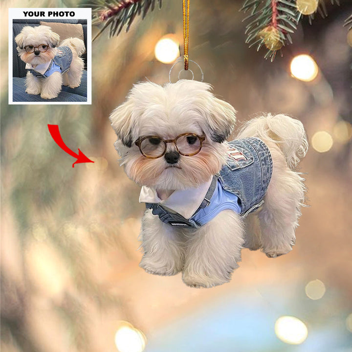 Paw Star - Personalized Photo Mica Ornament - Customized Your Photo Ornament - Christmas Gift For Pet Lovers