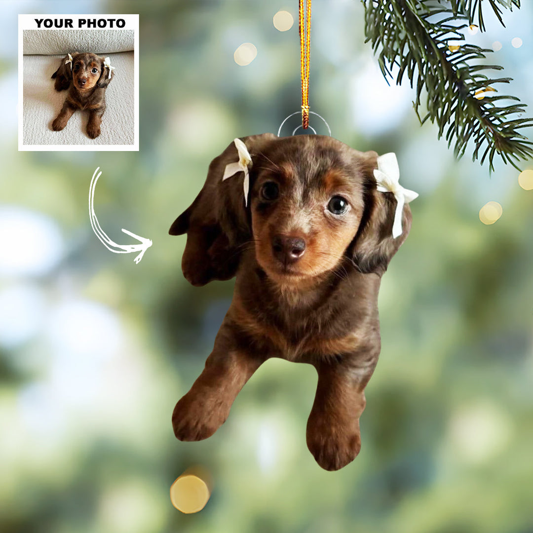 Loyal Friend - Personalized Photo Mica Ornament - Christmas Gift For Pet Lovers