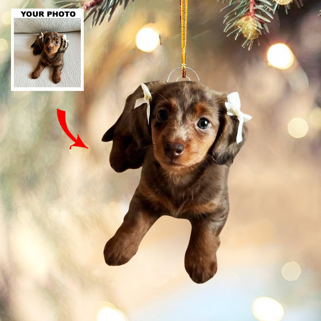 Loyal Friend - Personalized Photo Mica Ornament - Christmas Gift For Pet Lovers