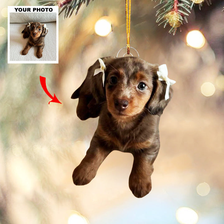 Loyal Friend - Personalized Photo Mica Ornament - Christmas Gift For Pet Lovers