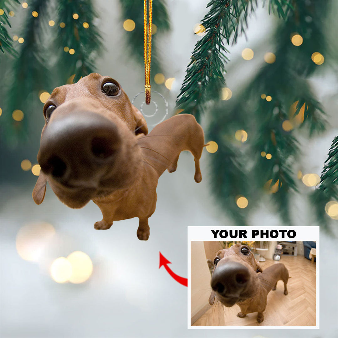 Personalized Photo Mica Ornament - Gift For Pet Lover -  Customized Your Pet Ornament ARND018