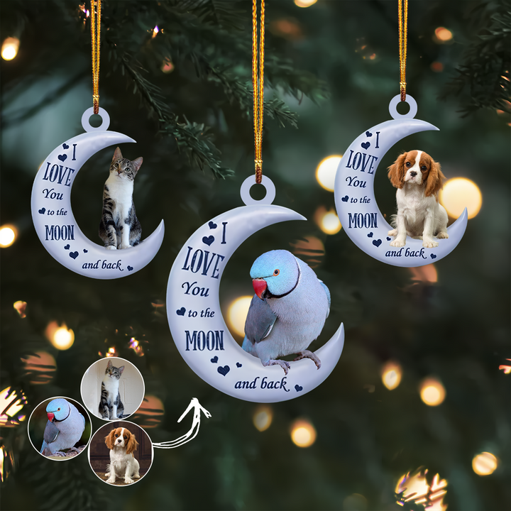 Customized Photo Ornament - Personalized Photo Mica Ornament - Christmas Gift For Family Members, Animals Lovers UPL0HD030