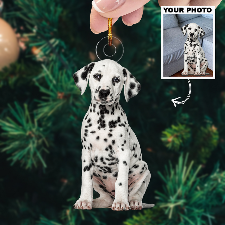 Customized Photo Ornament - Personalized Photo Mica Ornament - Christmas Gift For Pet Lovers, Dog Mom, Cat Mom