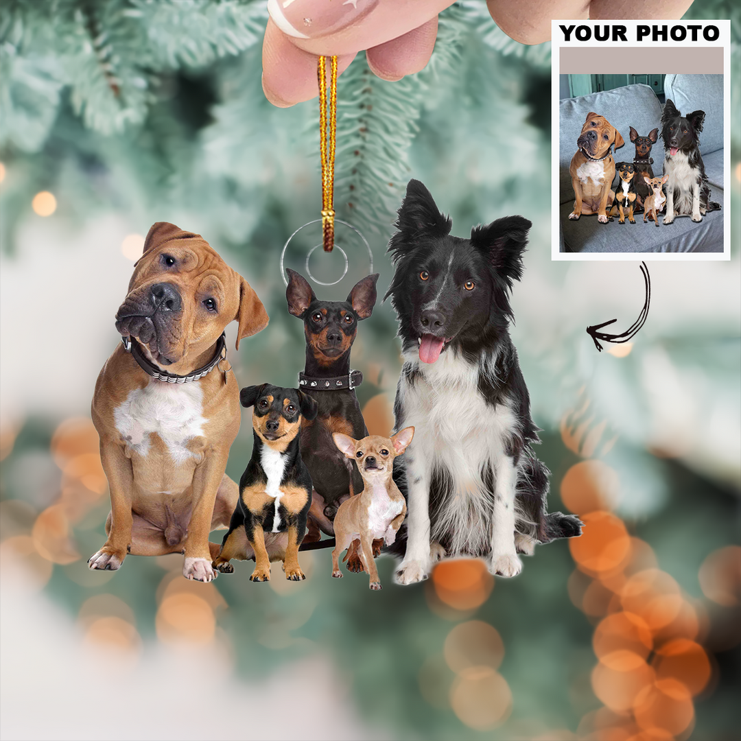 Customized Photo Ornament - Personalized Photo Mica Ornament - Christmas Gift For Pet Lovers, Dog Mom, Cat Mom