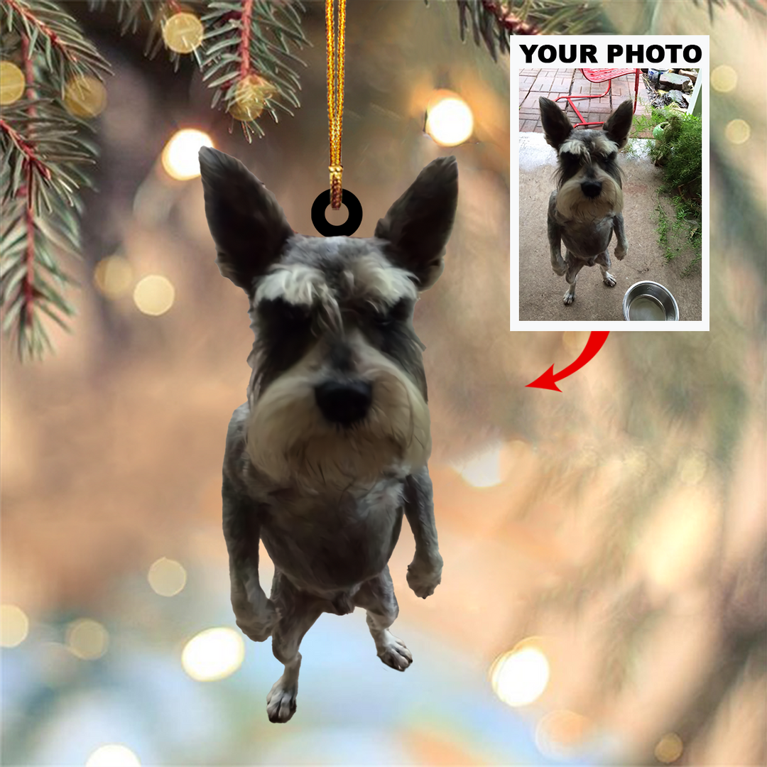 Personalized Photo Mica Ornament - Customized Your Photo Ornament V4 ARND005