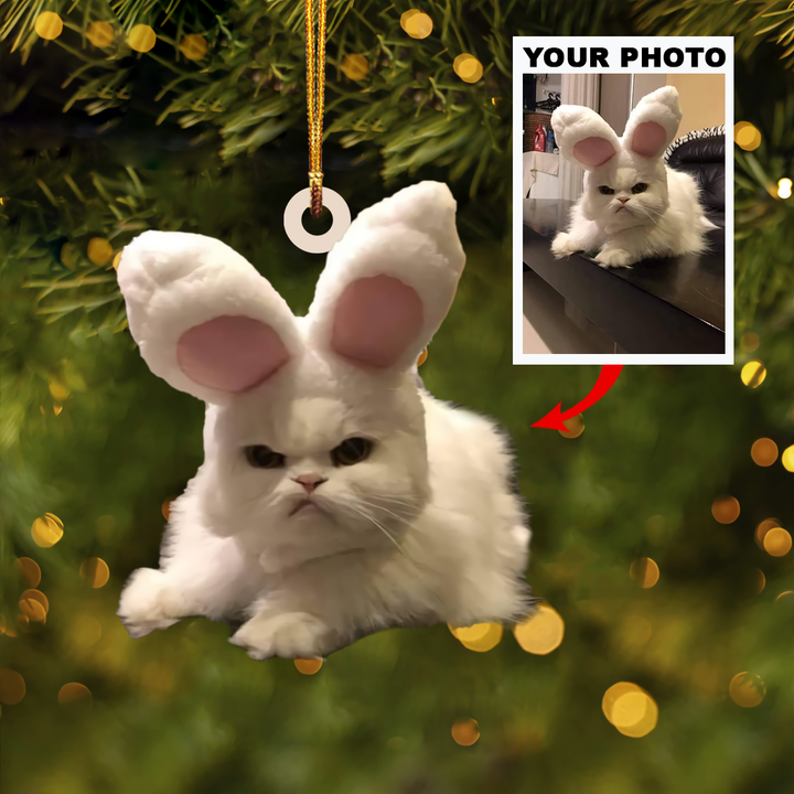 Personalized Photo Mica Ornament - Customized Your Photo Ornament V4 ARND005