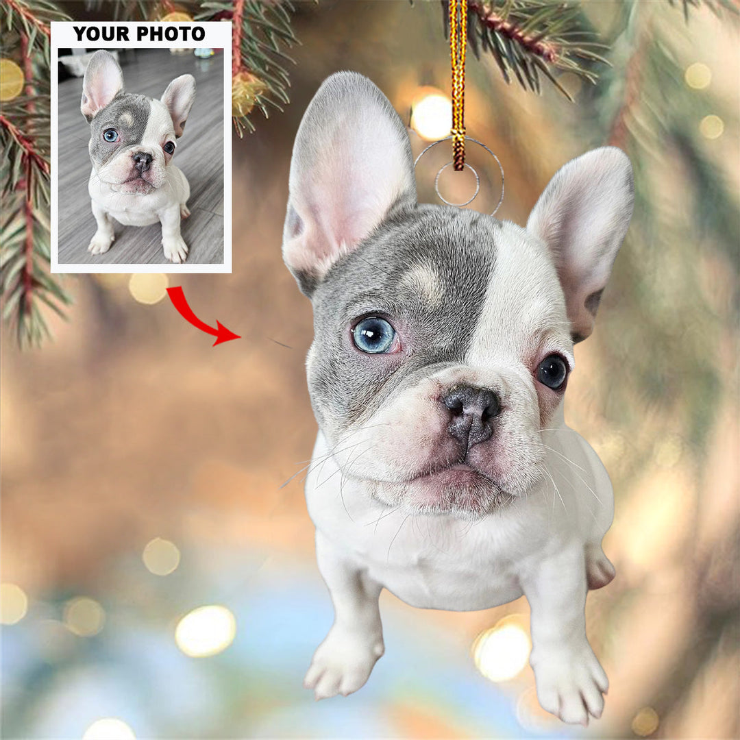2024 Merry Puppins - Personalized Photo Mica Ornament - Gift For Pet Lovers, Pet Owners, Family Members
