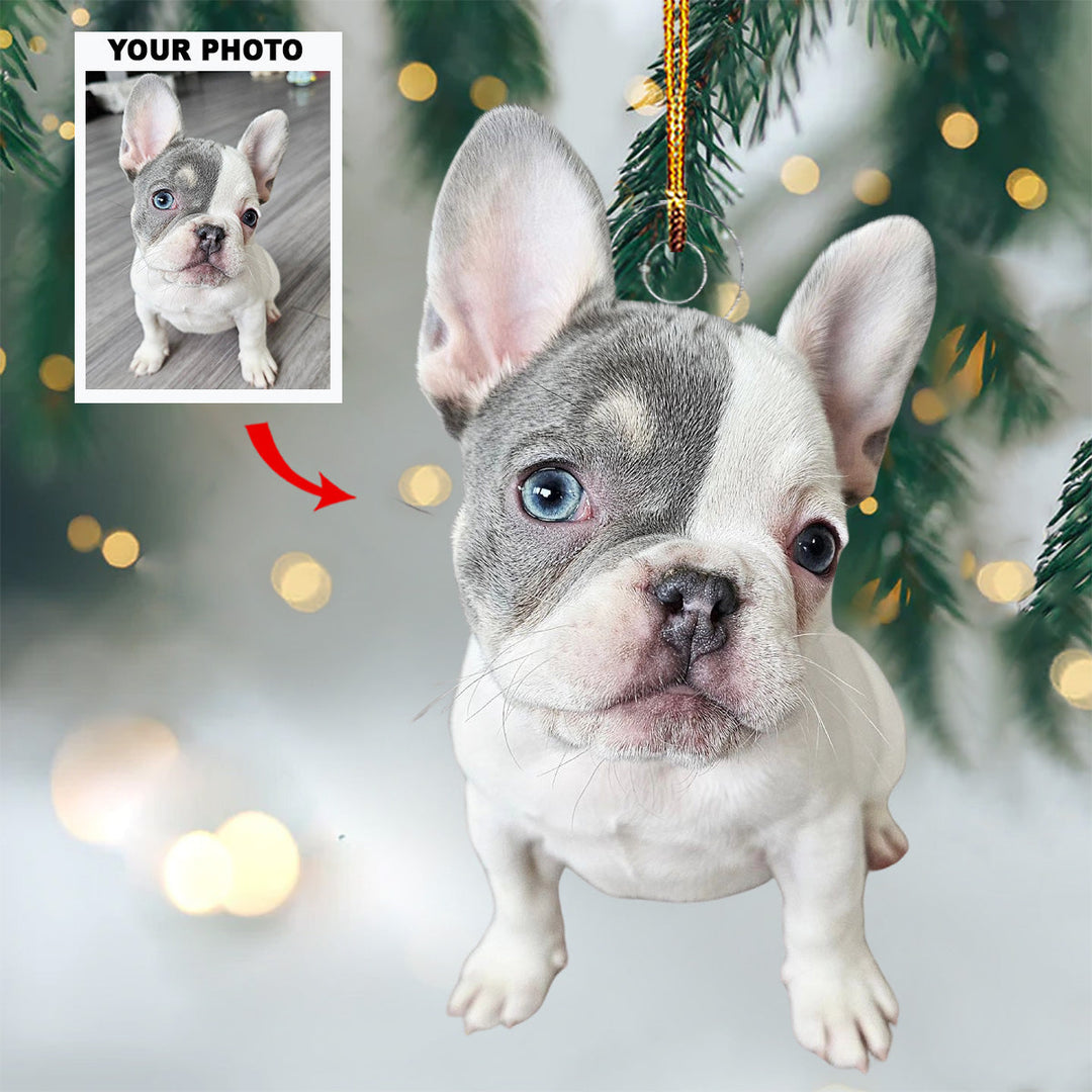 2024 Merry Puppins - Personalized Photo Mica Ornament - Gift For Pet Lovers, Pet Owners, Family Members