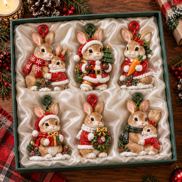 Merry Bunny Acrylic Ornament Gift Set NCU0HT247