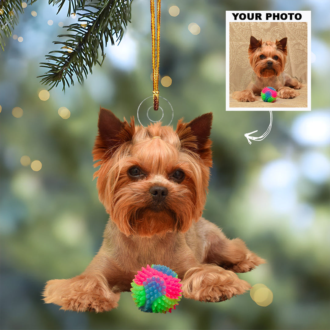Dog Cat With Toys - Personalized Custom Photo Mica Ornament - Christmas Gift For Dog Mom, Dog Dad, Cat Mom, Cat Dad