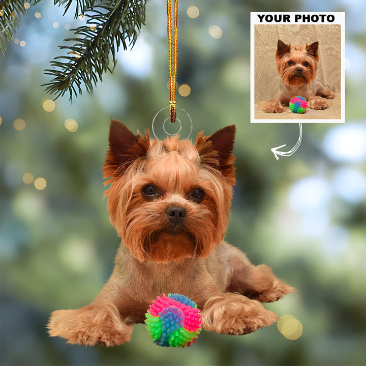 Dog Cat With Toys - Personalized Custom Photo Mica Ornament - Christmas Gift For Dog Mom, Dog Dad, Cat Mom, Cat Dad