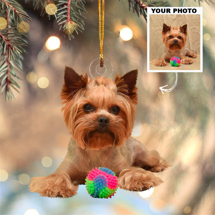 Dog Cat With Toys - Personalized Custom Photo Mica Ornament - Christmas Gift For Dog Mom, Dog Dad, Cat Mom, Cat Dad