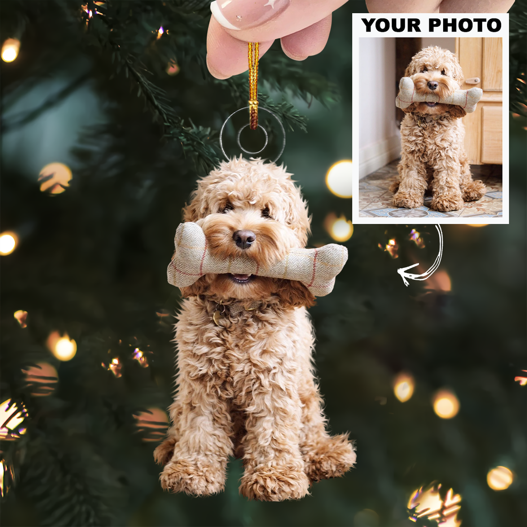 Customized Photo Ornament Pet Special Moments - Personalized Photo Mica Ornament - Christmas Gift For Pet Lovers, Dog Lovers, Cat Lovers