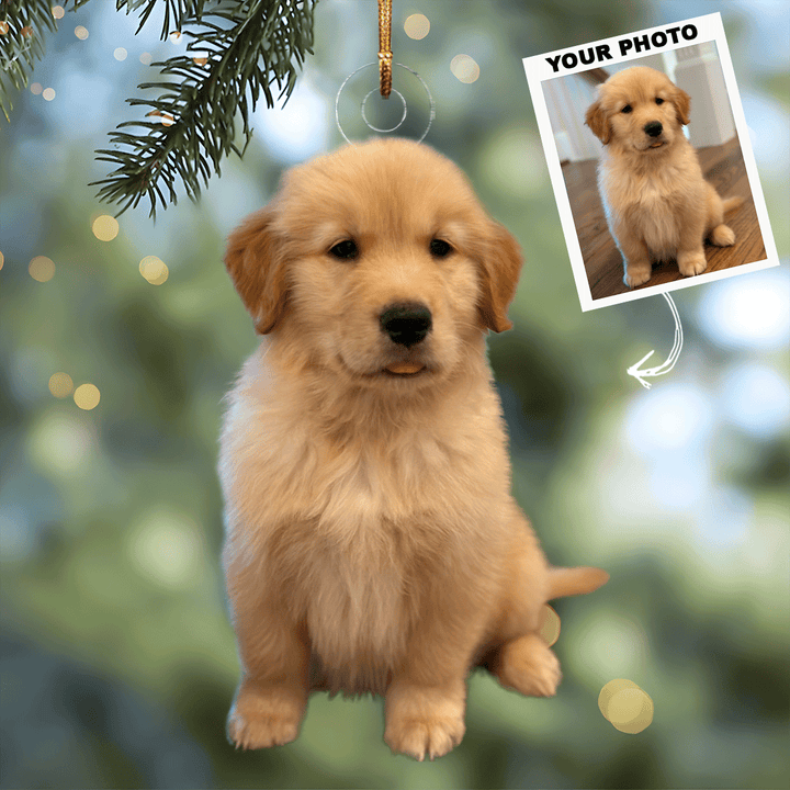 I Love My Pet - Personalized Photo Mica Ornament - Christmas Gift For Pet Lovers, Dog Lovers, Cat Lover