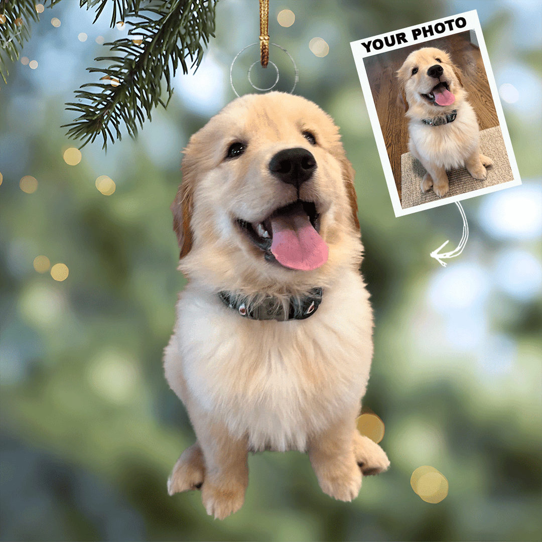 I Love My Pet - Personalized Photo Mica Ornament - Christmas Gift For Pet Lovers, Dog Lovers, Cat Lover