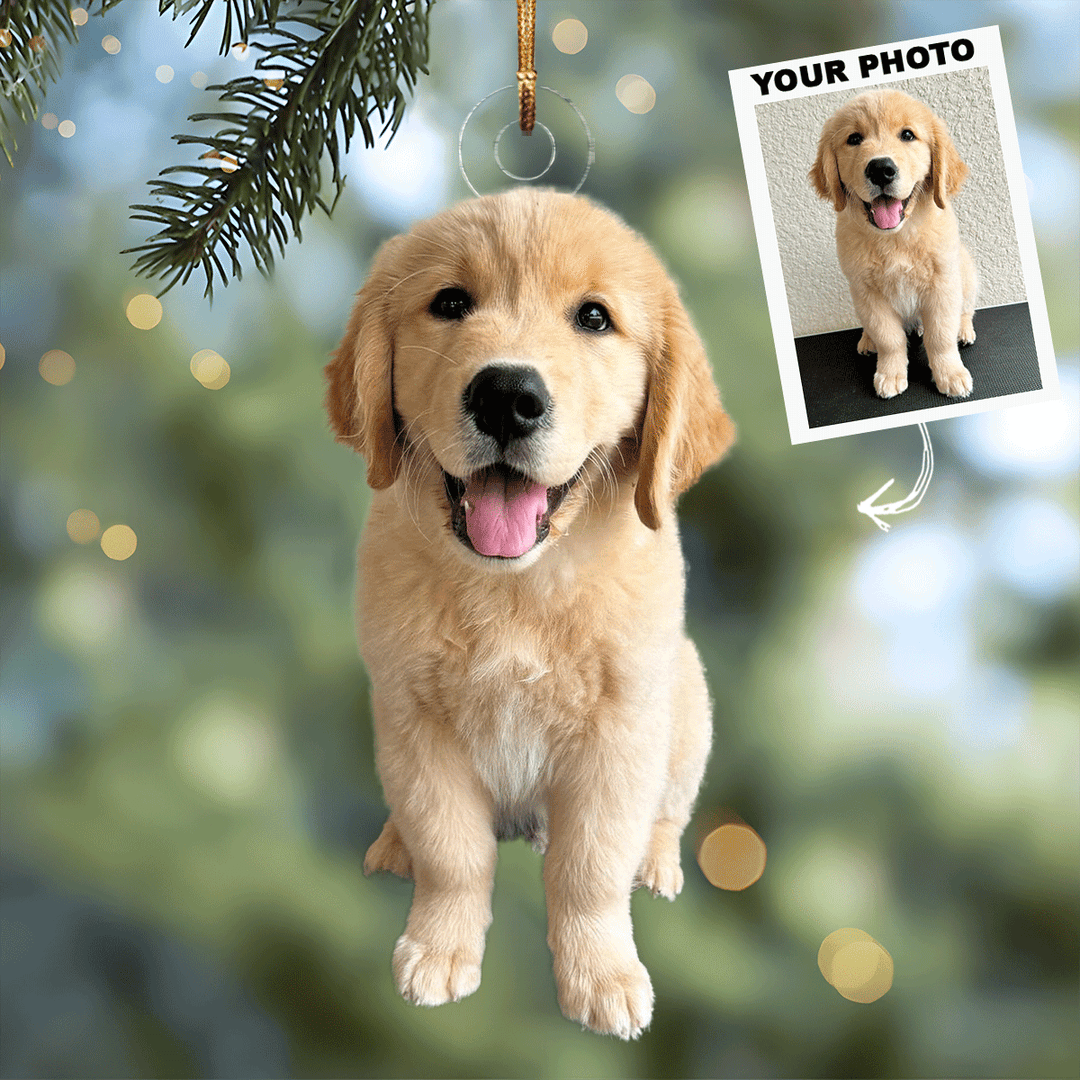 I Love My Pet - Personalized Photo Mica Ornament - Christmas Gift For Pet Lovers, Dog Lovers, Cat Lover