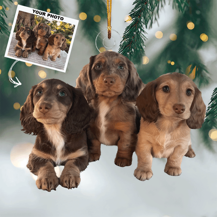 I Love You To The Moon And Back - Personalized Photo Mica Ornament - Christmas Gift For Pet Lovers, Dog Lovers, Cat Lovers