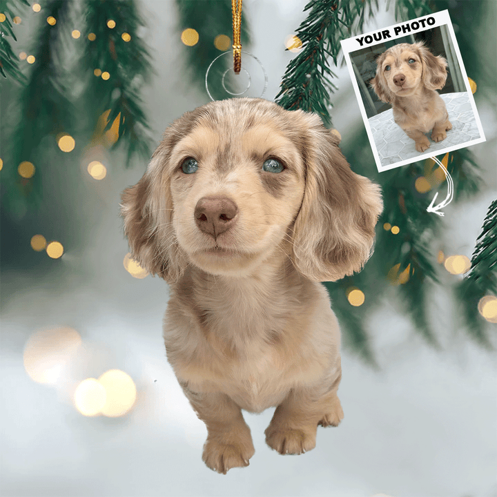 I Love You To The Moon And Back - Personalized Photo Mica Ornament - Christmas Gift For Pet Lovers, Dog Lovers, Cat Lovers