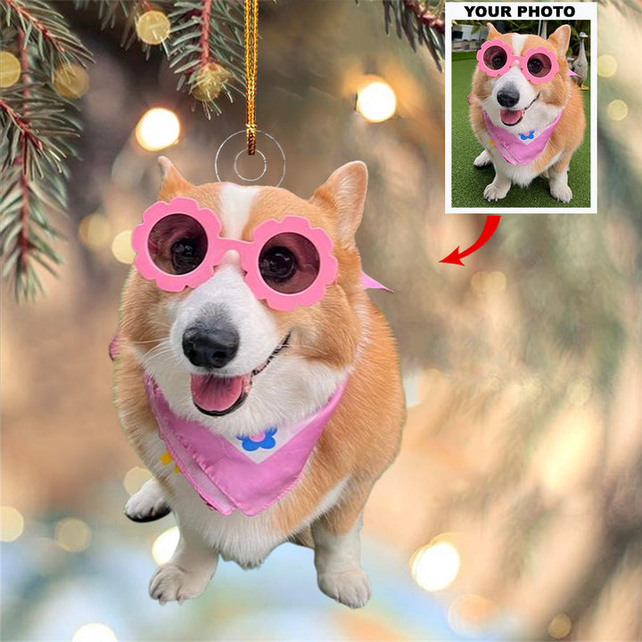 Customized Photo Ornament Pet Special Moments - Personalized Photo Mica Ornament - Christmas Gift For Pet Lovers, Dog Lovers, Cat Lovers