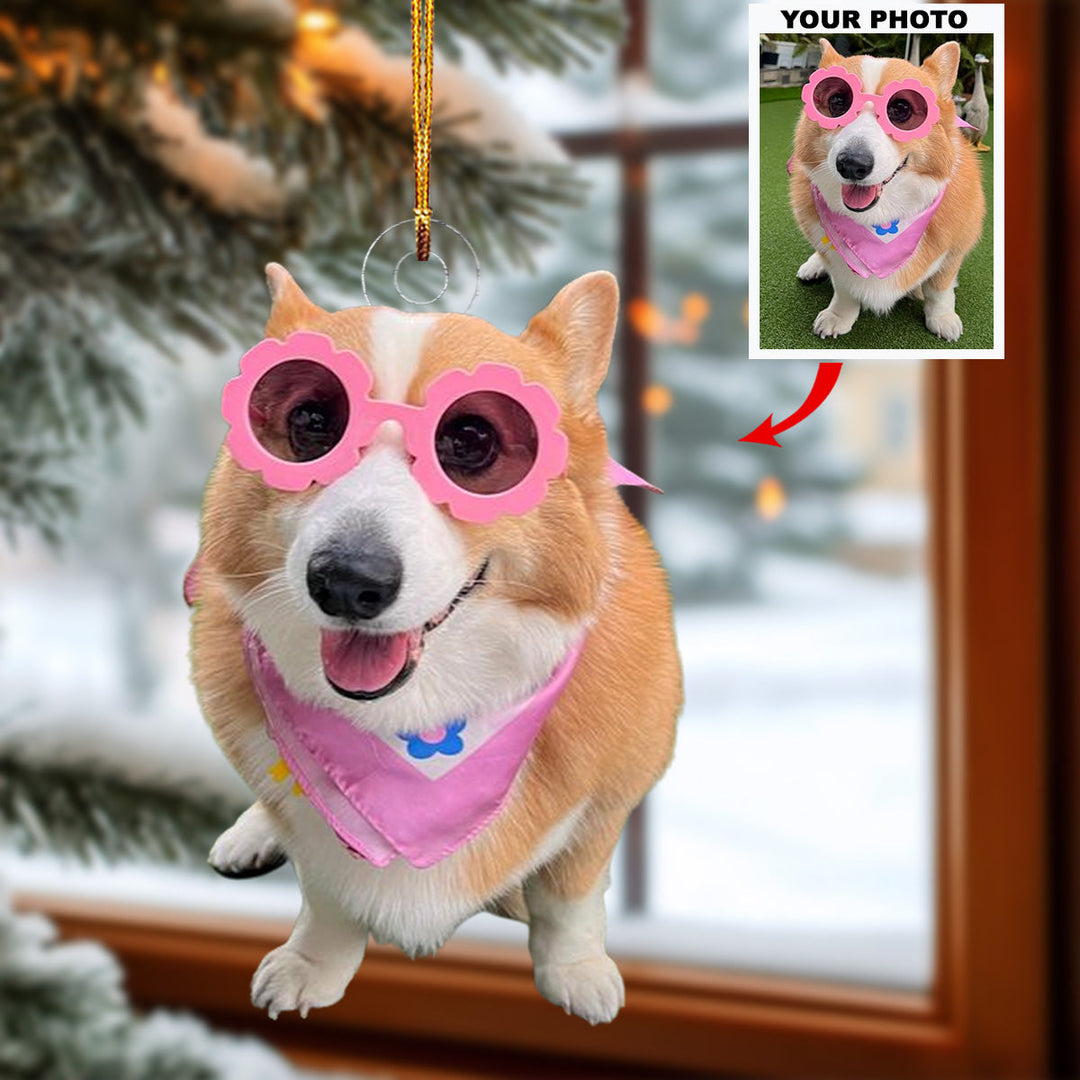 Customized Photo Ornament Pet Special Moments - Personalized Photo Mica Ornament - Christmas Gift For Pet Lovers, Dog Lovers, Cat Lovers