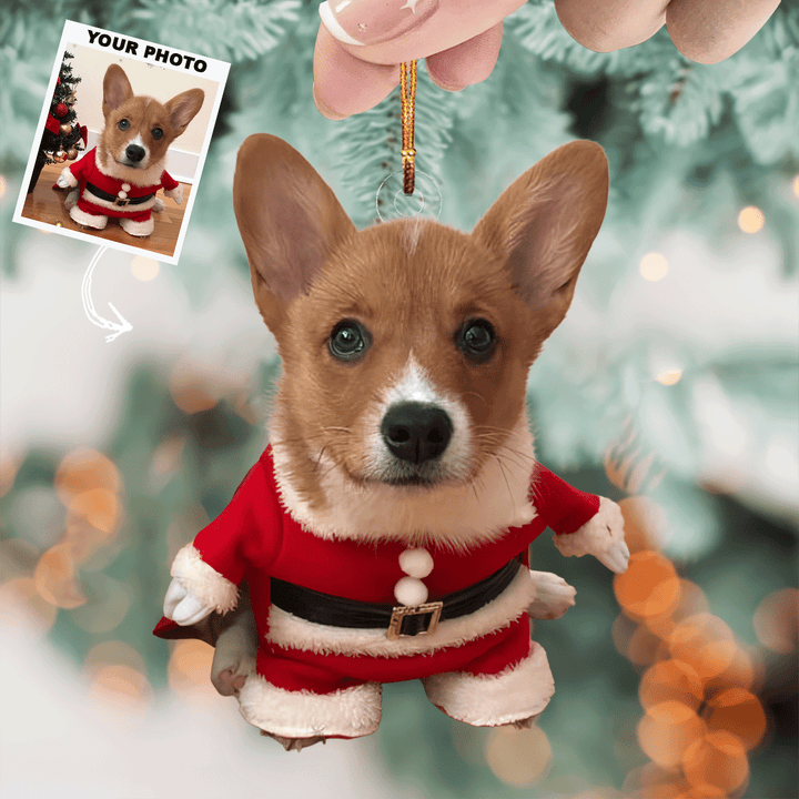 Festive Paws - Personalized Mica Ornament - Christmas Gift For Pet Lover, Family Members