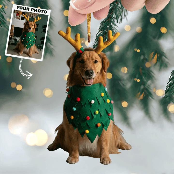Festive Friends - Personalized Photo Mica Ornament - Christmas Gift For Pet Owner, Pet Lover