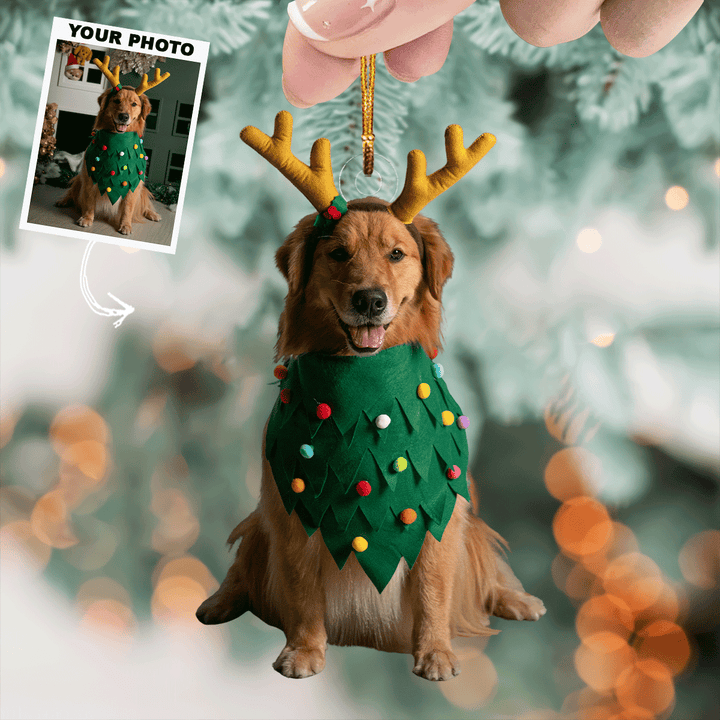 Festive Friends - Personalized Photo Mica Ornament - Christmas Gift For Pet Owner, Pet Lover