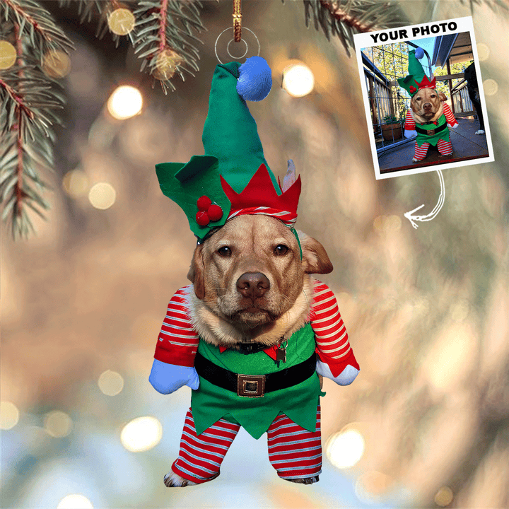 Elfie-Whiskers - Personalized Photo Mica Ornament - Gift For Pet Lovers, Pet Owners, Family Members, Friends