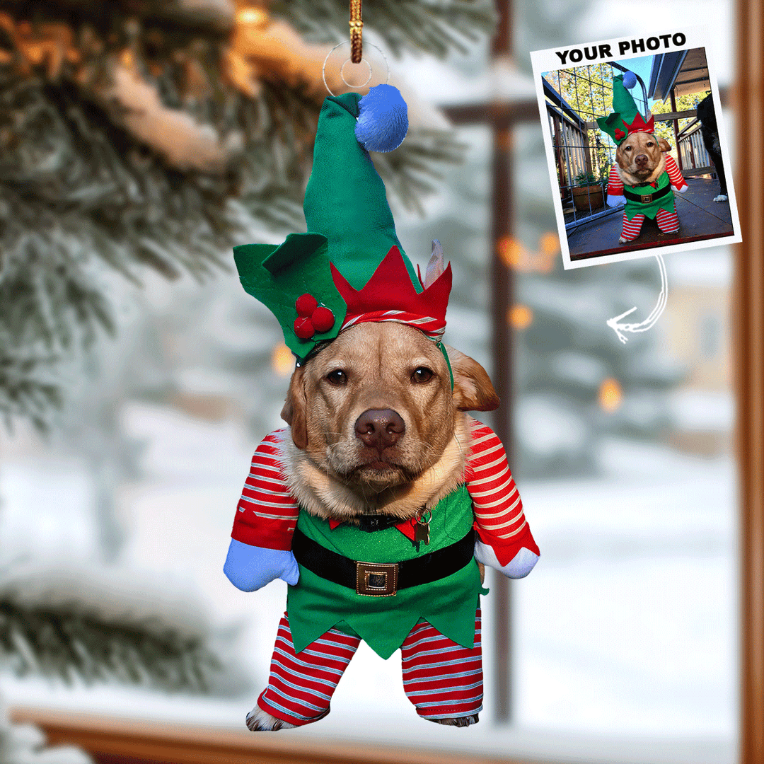 Elfie-Whiskers - Personalized Photo Mica Ornament - Gift For Pet Lovers, Pet Owners, Family Members, Friends