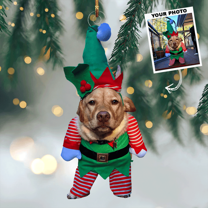 Elfie-Whiskers - Personalized Photo Mica Ornament - Gift For Pet Lovers, Pet Owners, Family Members, Friends