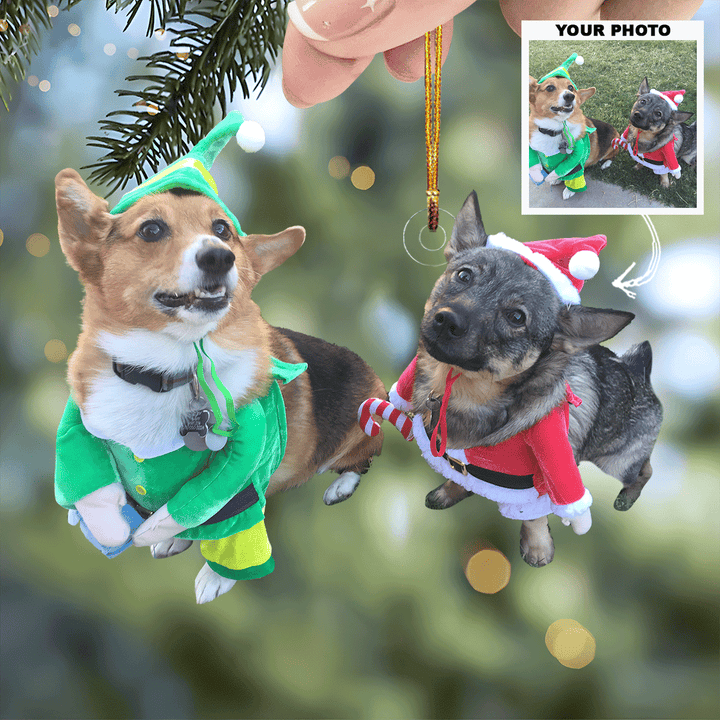 Jolly-Paws - Personalized Photo Mica Ornament - Gift For Pet Lovers, Pet Owners, Family Members, Friends