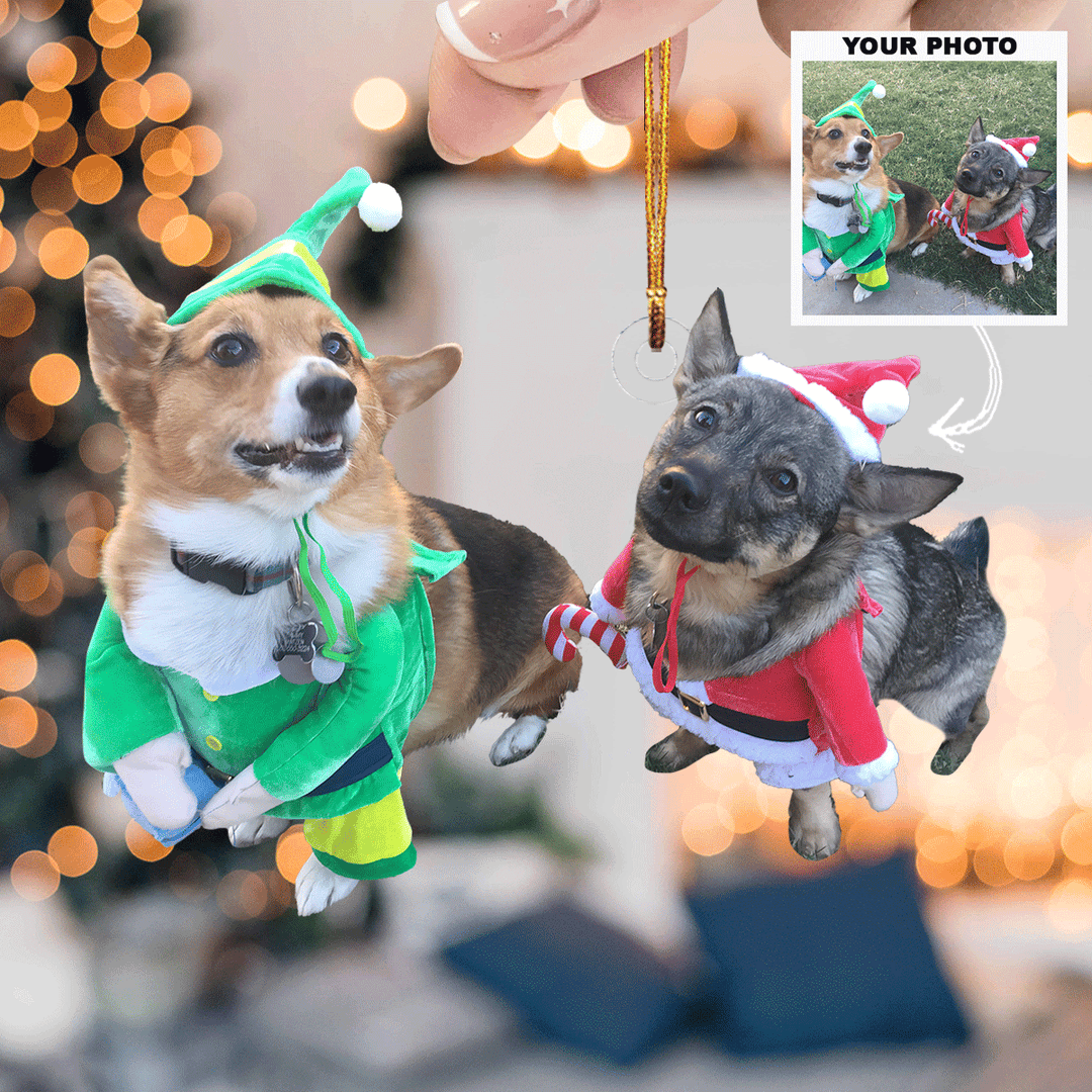 Jolly-Paws - Personalized Photo Mica Ornament - Gift For Pet Lovers, Pet Owners, Family Members, Friends
