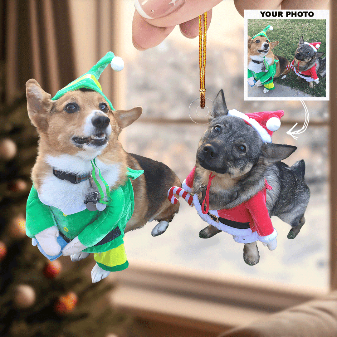 Jolly-Paws - Personalized Photo Mica Ornament - Gift For Pet Lovers, Pet Owners, Family Members, Friends