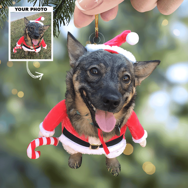 Mistletoe-Mutt - Personalized Photo Mica Ornament - Gift For Pet Lovers, Pet Owners, Family Members, Friends