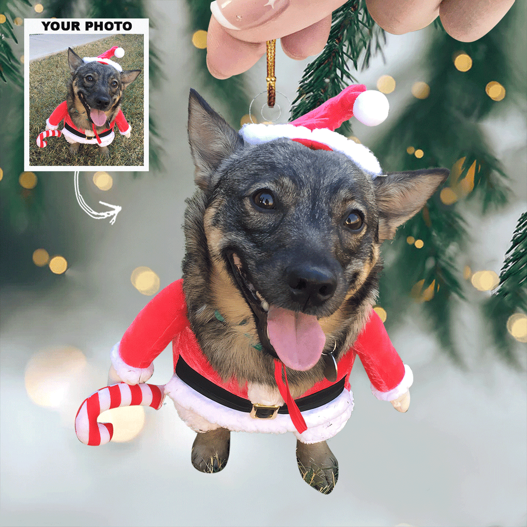 Mistletoe-Mutt - Personalized Photo Mica Ornament - Gift For Pet Lovers, Pet Owners, Family Members, Friends