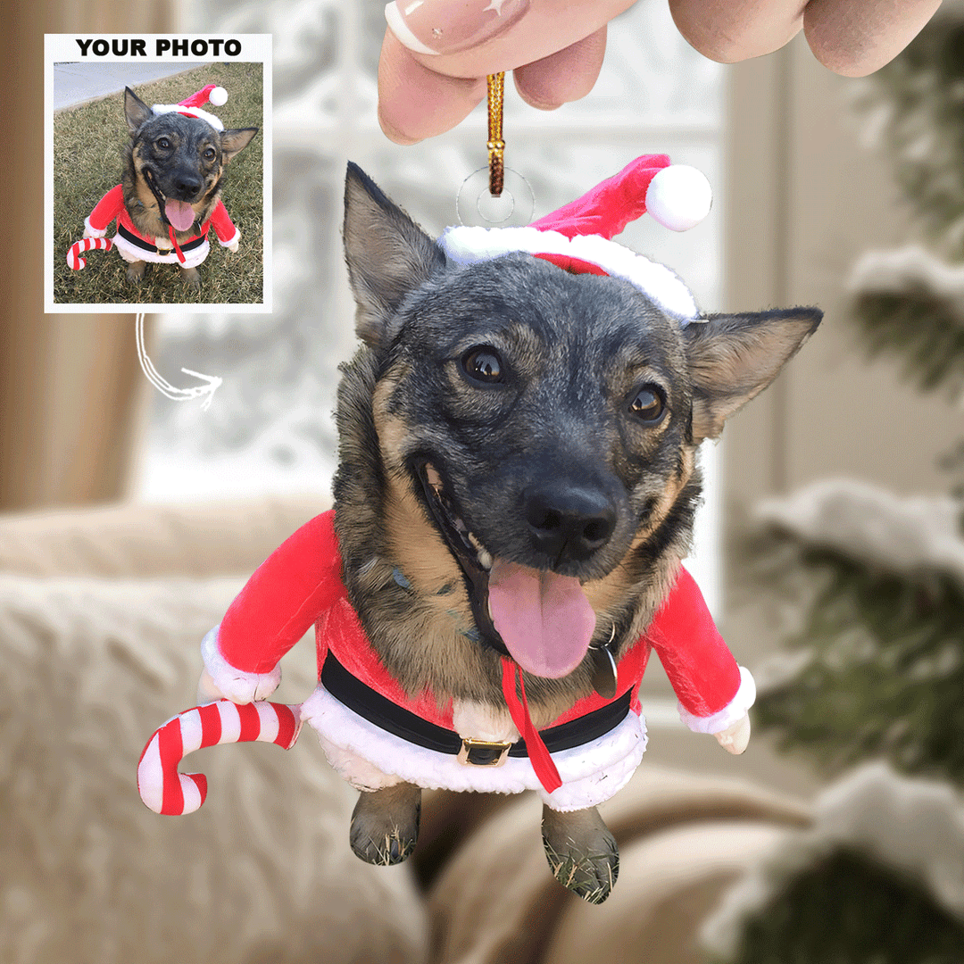 Mistletoe-Mutt - Personalized Photo Mica Ornament - Gift For Pet Lovers, Pet Owners, Family Members, Friends