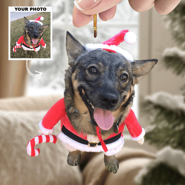 Mistletoe-Mutt - Personalized Photo Mica Ornament - Gift For Pet Lovers, Pet Owners, Family Members, Friends