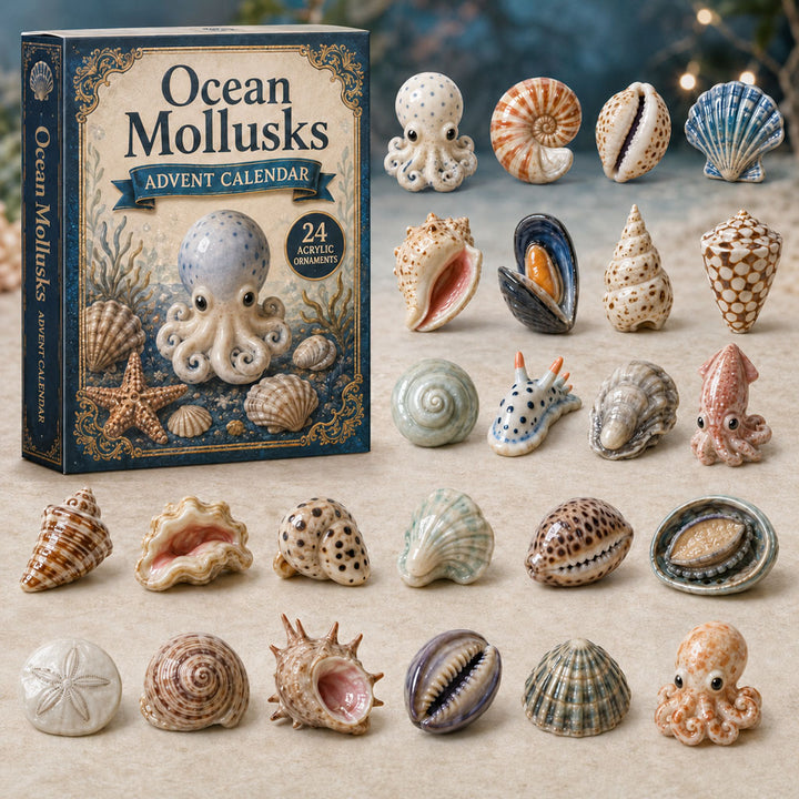 CHRISMAST KICKOFF 40% OFF - Ocean Mollusks Shells Advent Calendar 2026 - 24-Day Festive Countdown, Acrylic Charms Blind Box - Gift For Fish Lovers AC0TM154