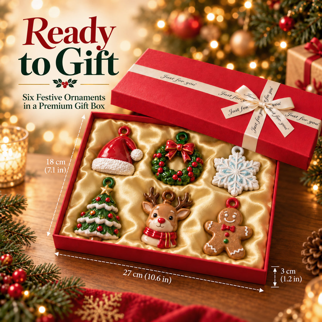 Winter Snow Schnauzer Acrylic Ornament Gift Set NCU0HT248