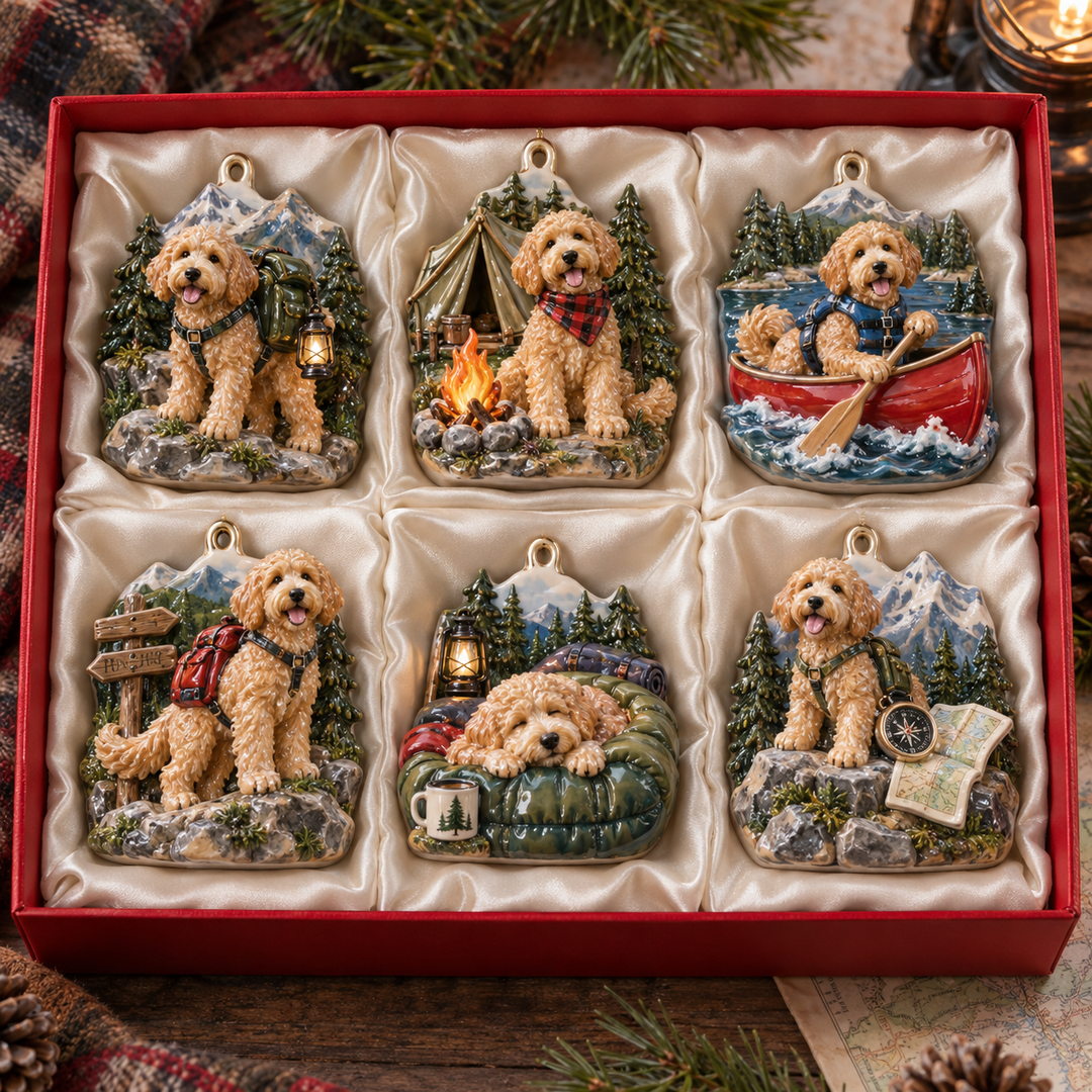 Outdoor Goldendoodle Acrylic Ornament Gift Set NCU0NT139