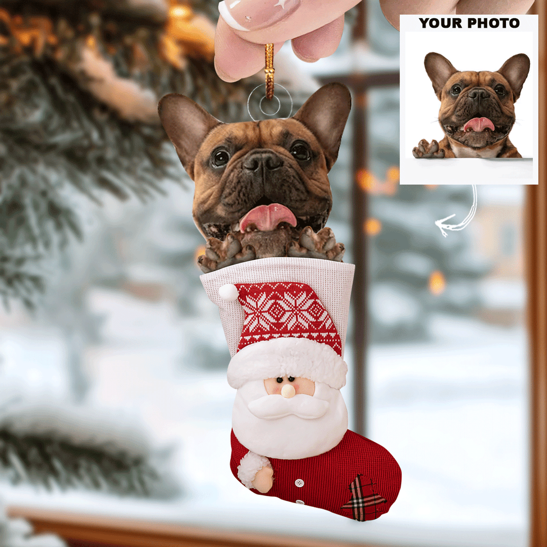 Custom Photo Pet - Personalized Photo Mica Ornament - Christmas Gift For Pet Lovers UPL0PD047