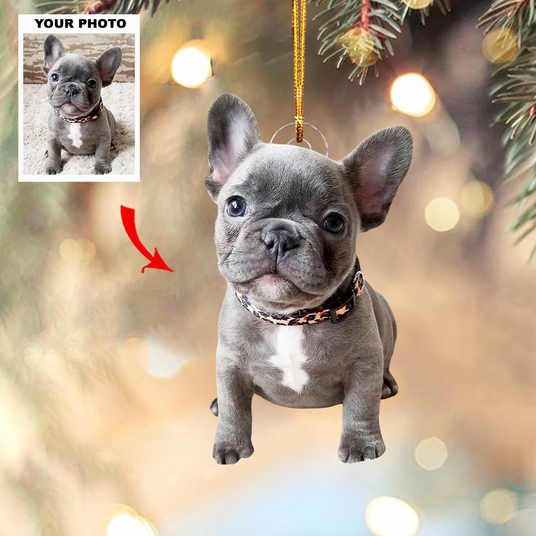 Pawfect Gift - Personalized Photo Mica Ornament - Christmas Gift For Pet Lovers
