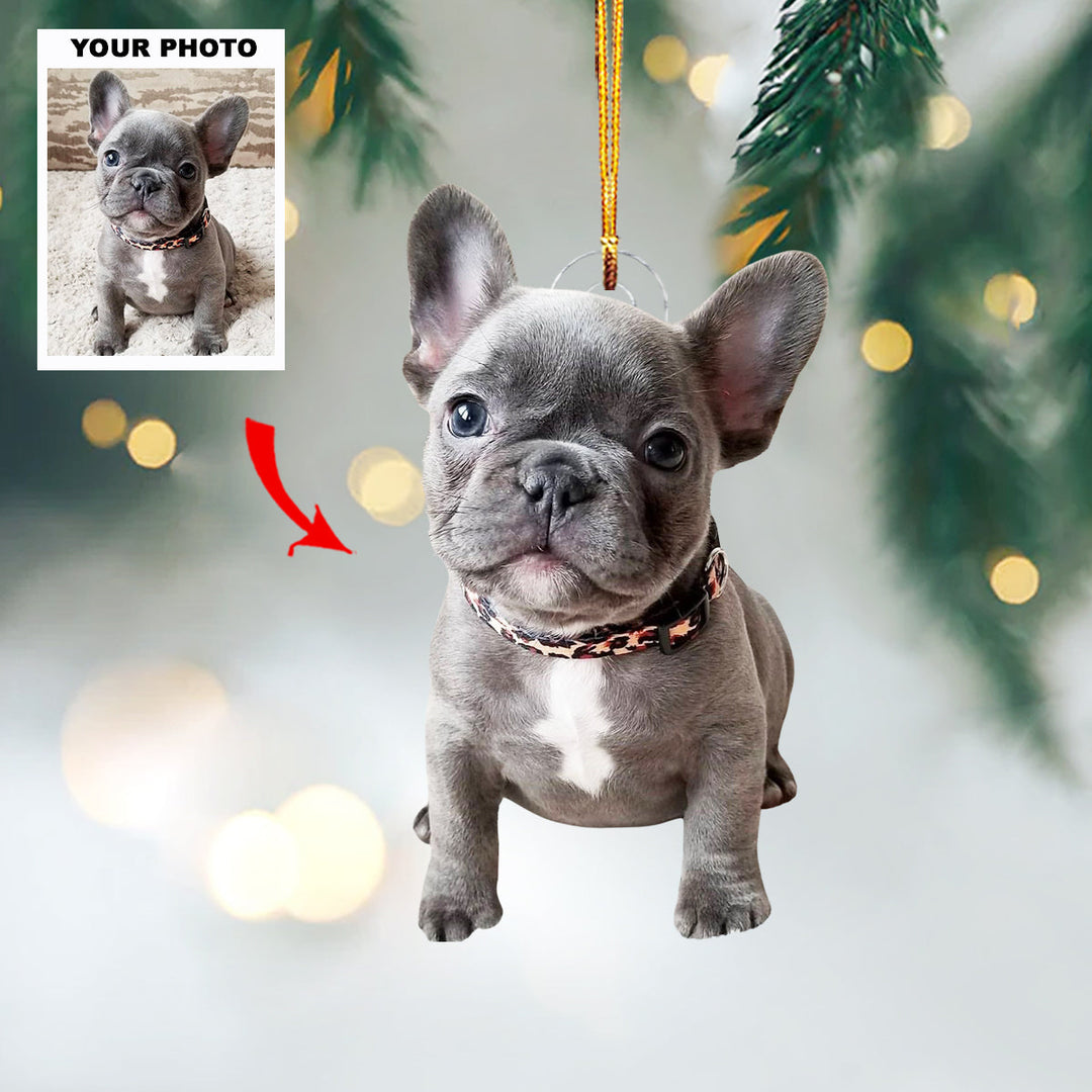 Pawfect Gift - Personalized Photo Mica Ornament - Christmas Gift For Pet Lovers
